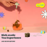 Green Tea Combo Packs (5 Pack)